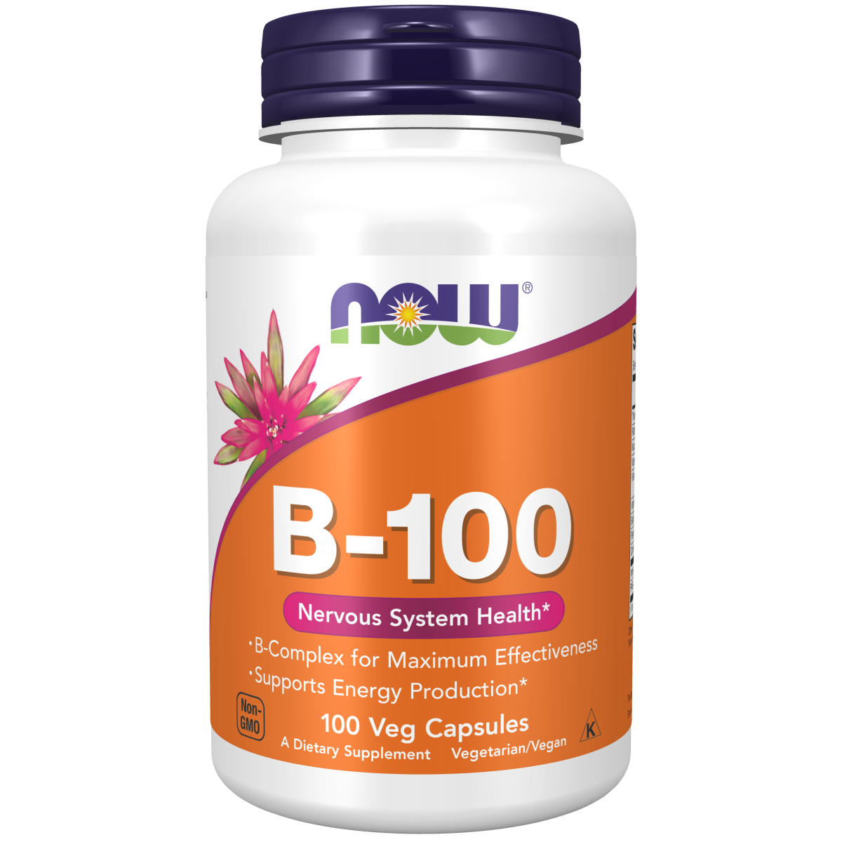 Complejo B 100 (100 veg caps)