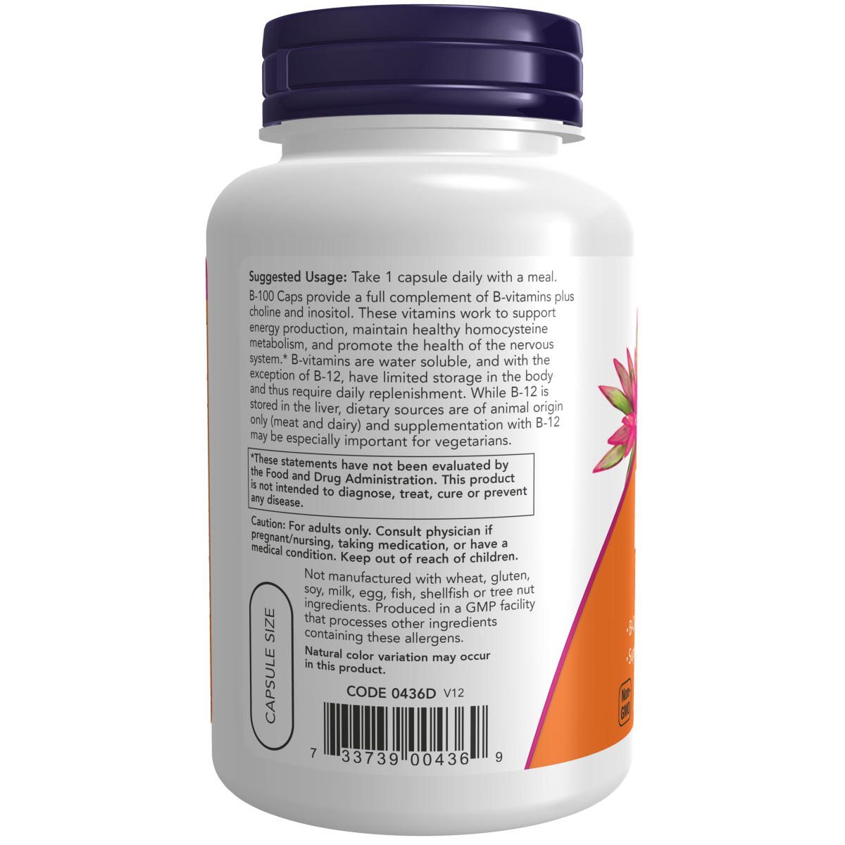 Complejo B 100 (100 veg caps)