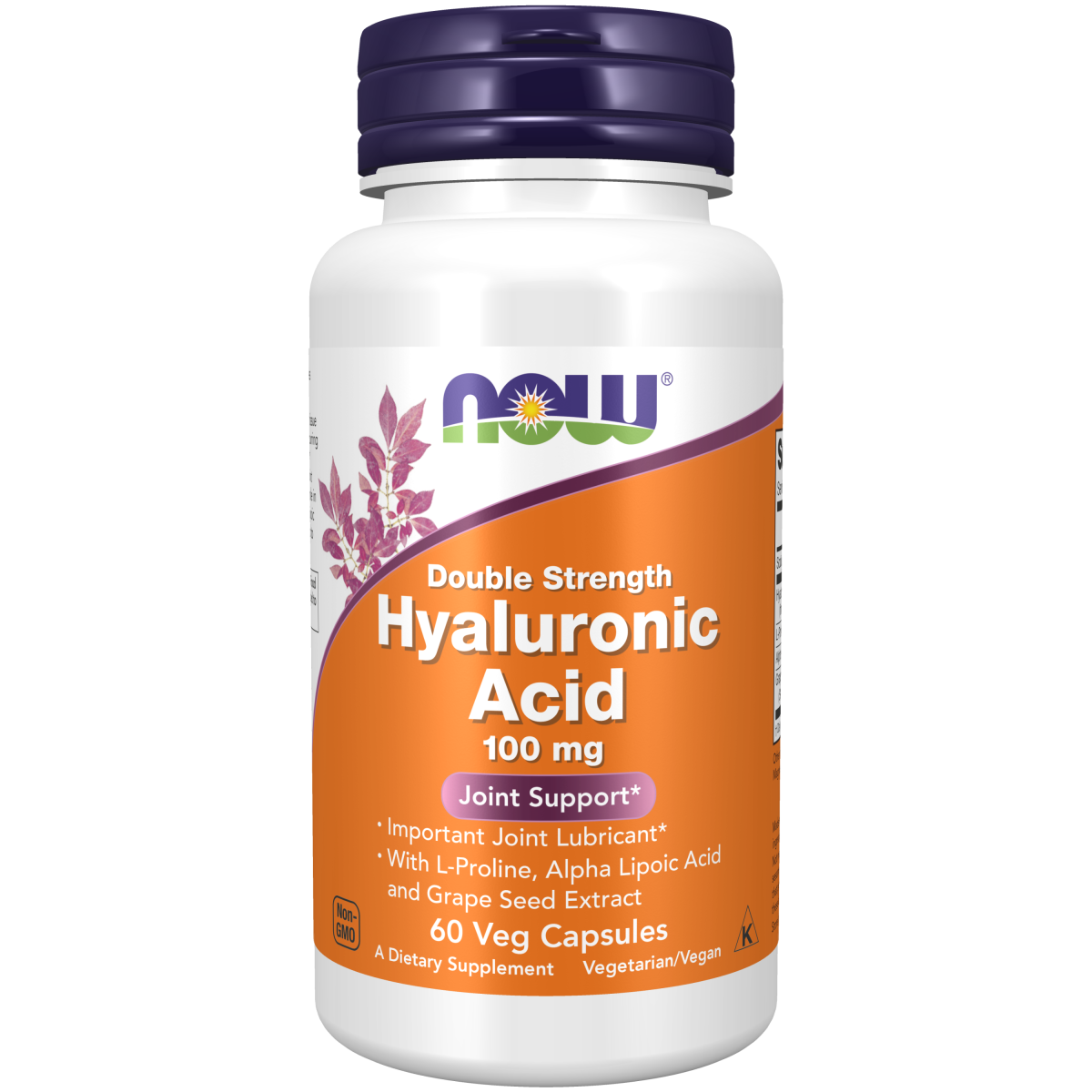 Acido Hialuronico 100 mg (60 veg caps)