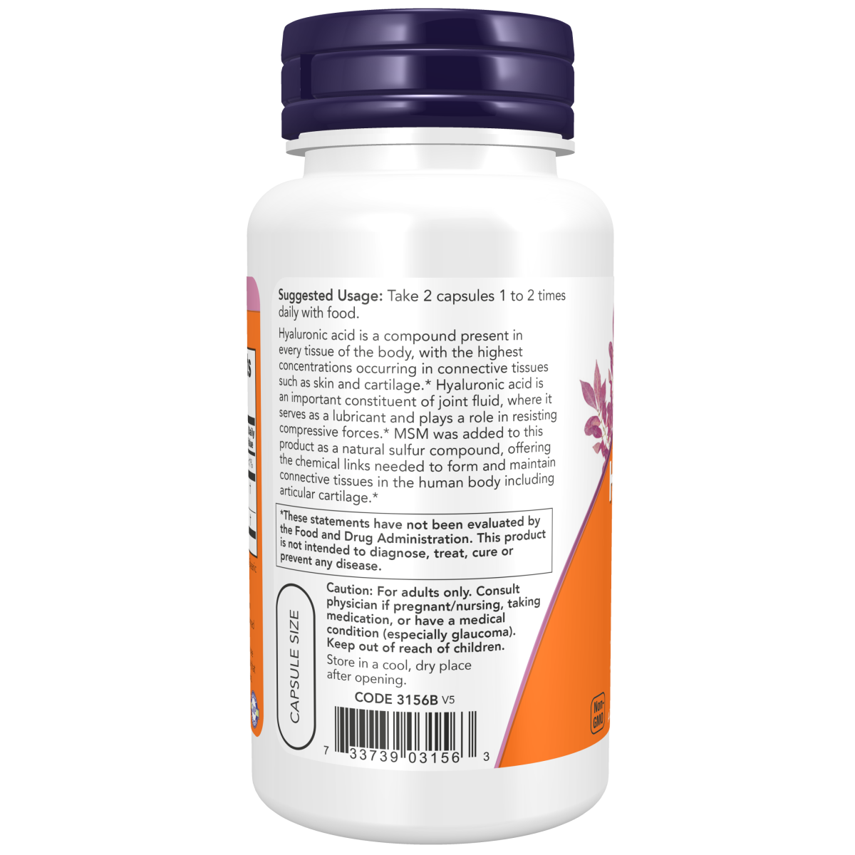 Acido Hialuronico con MSM 50mg (60 veg caps)