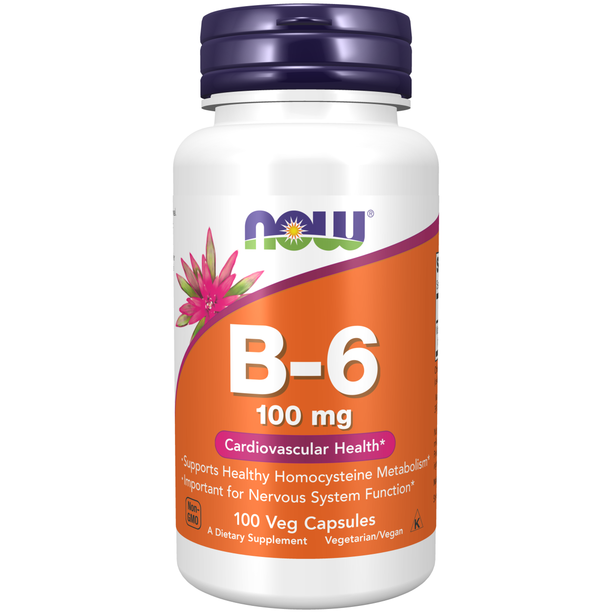 Vitamina B-6 100 mg (100 veg caps)